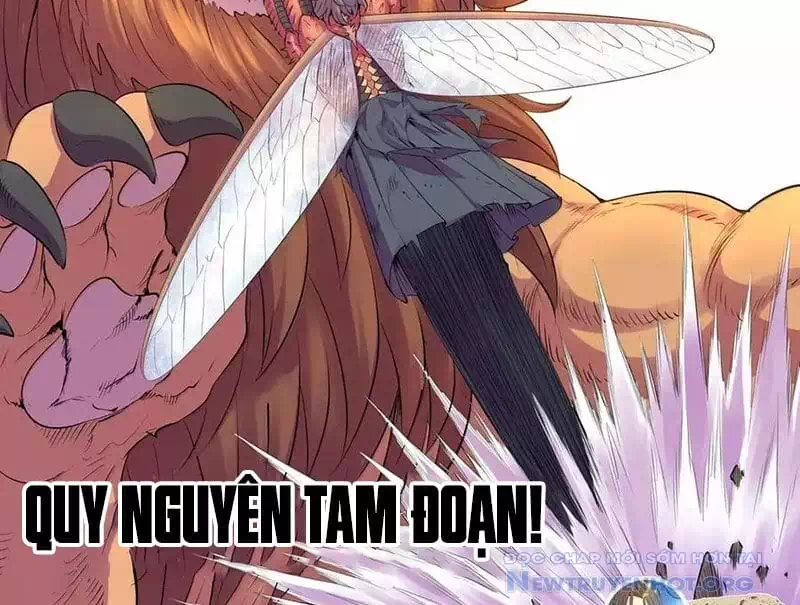 Chapter 384 - Image 36