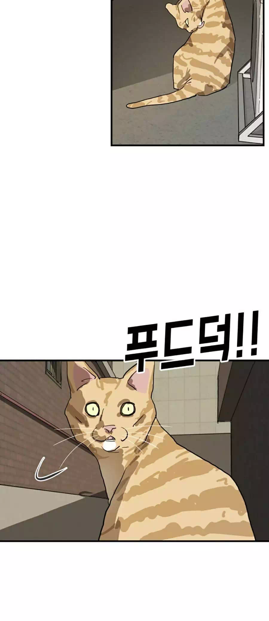 Chapter 19 - Image 34