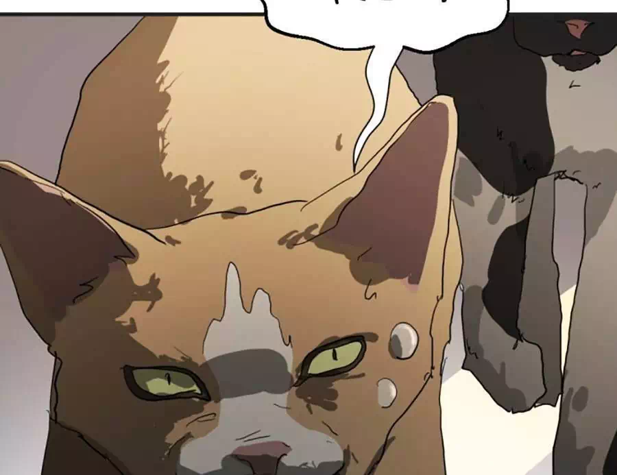 Chapter 22 - Image 3