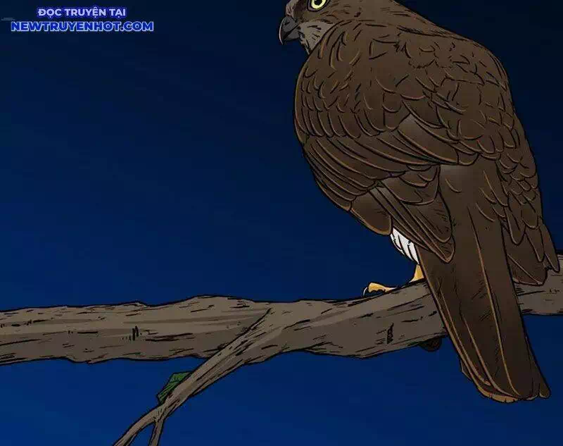 Chapter 319 - Image 3