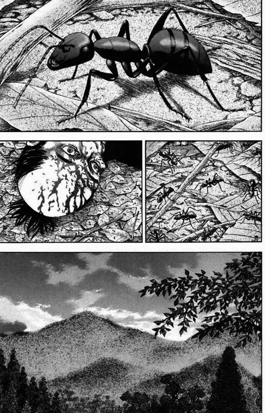 Chapter 15 - Image 10