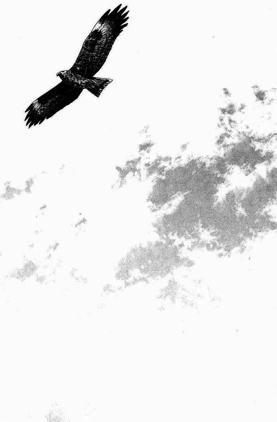 Chapter 296 - Image 2