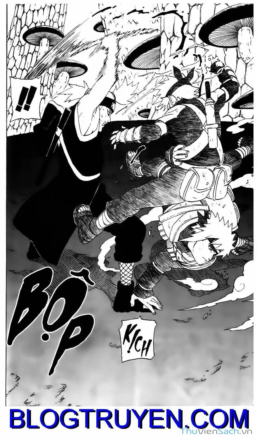 Chapter 245 - Image 1