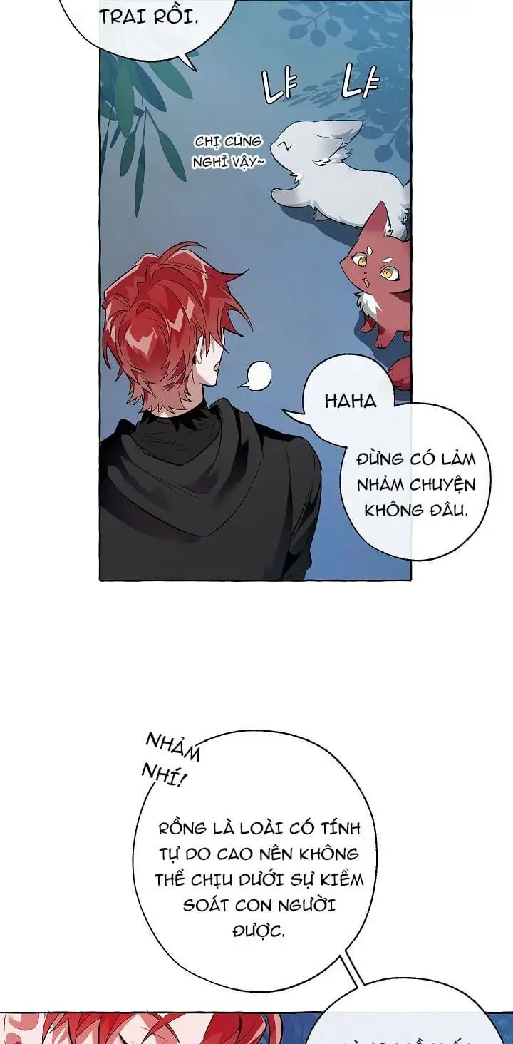 Chapter 19 - Image 4