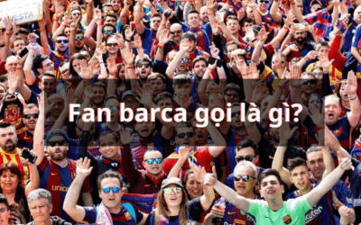 Fan Barca gọi là gì? Khám phá nguồn gốc thú vị