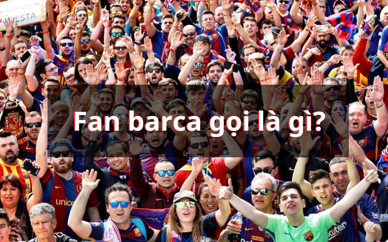 image 11 Fan Barca gọi là gì? Khám phá nguồn gốc thú vị Fan Barca gọi là gì ẩn chứa một câu chuyện thú vị kéo dài